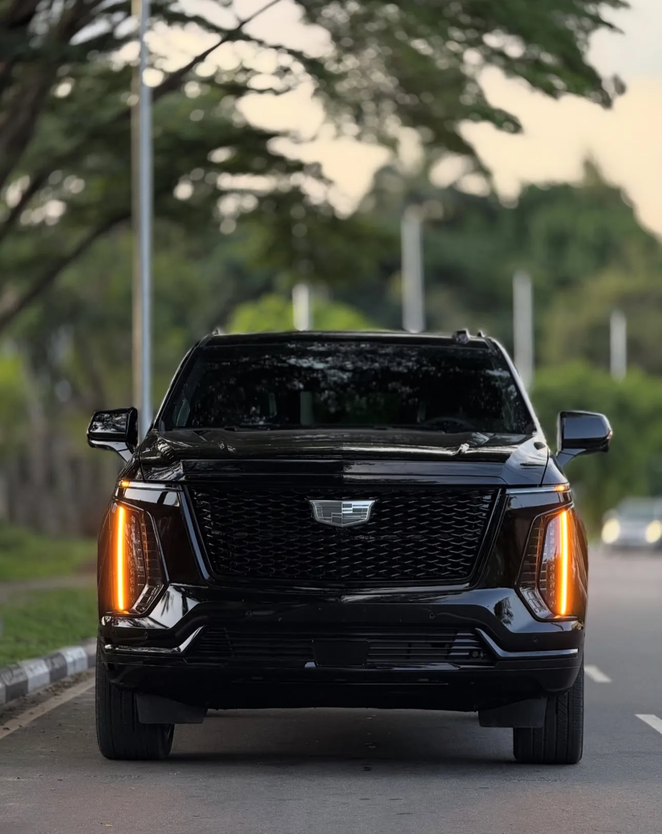 Cadillac Escalade 7-Seats - View 2