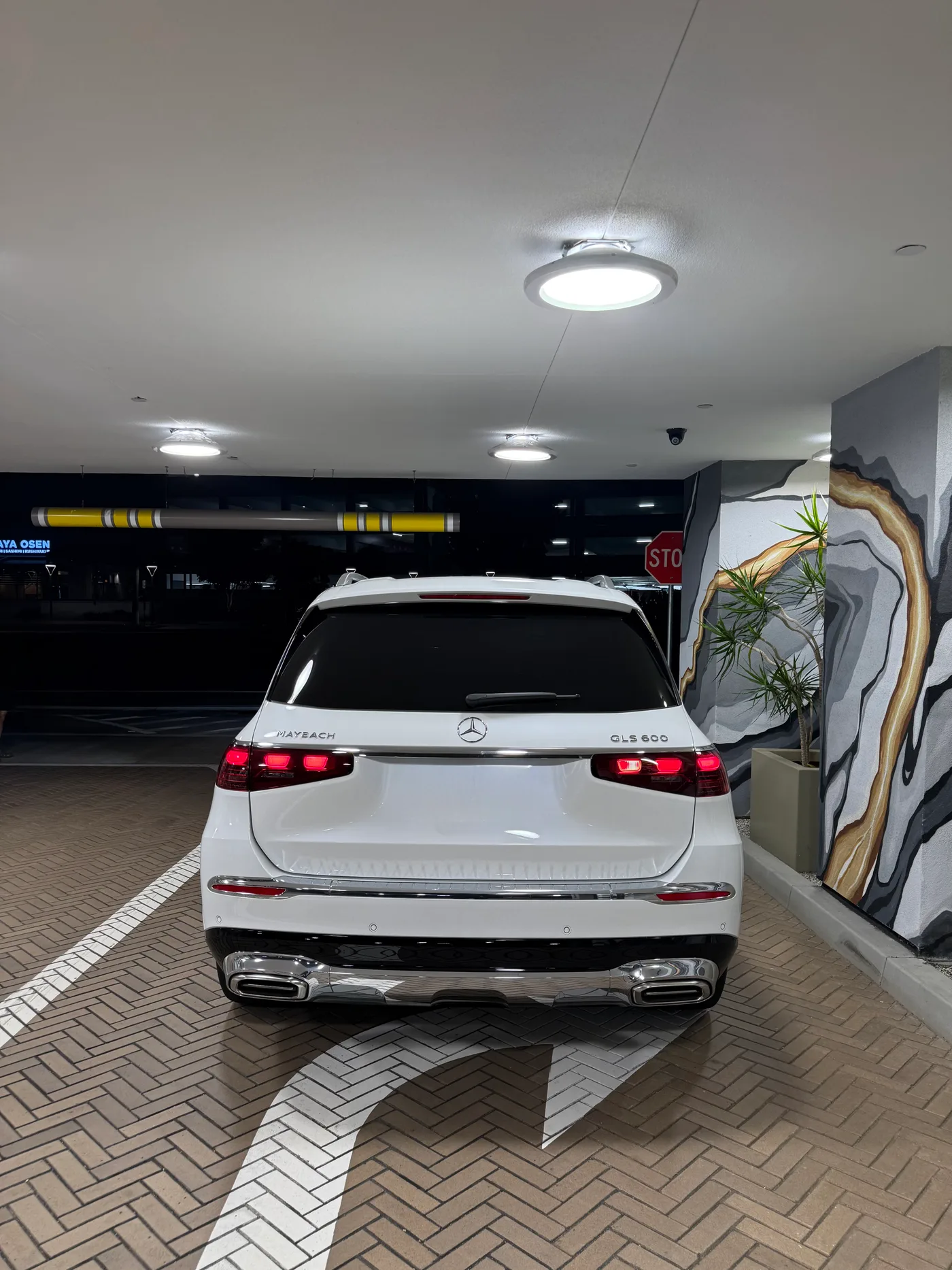 Maybach GLS 600 - View 4